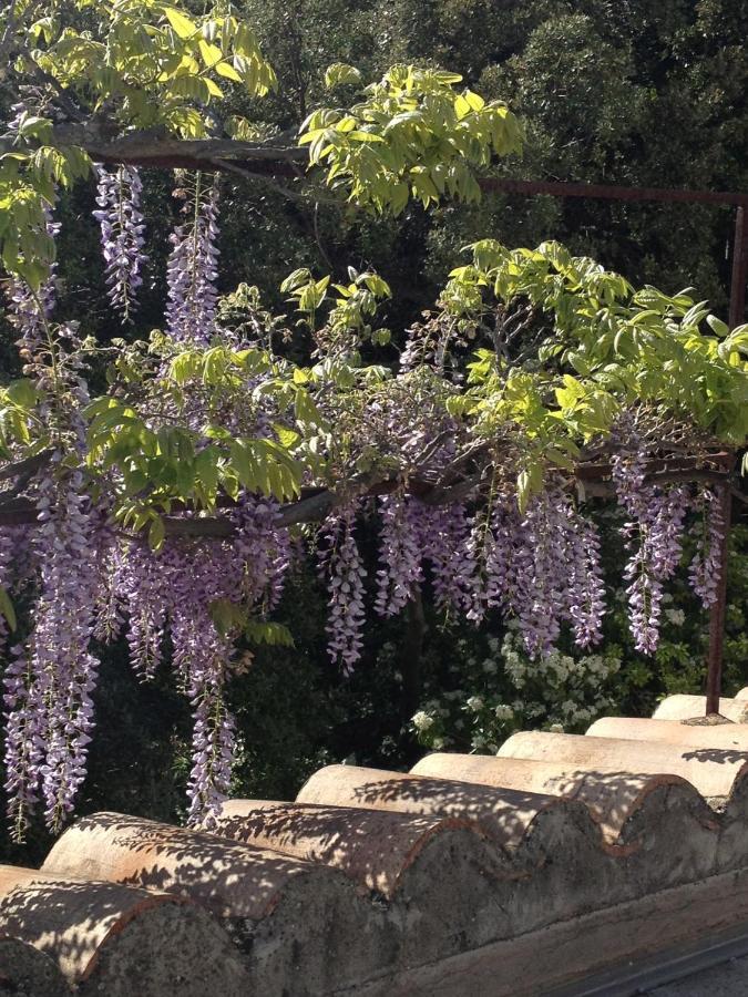 Bastide La Combe Hotel Vaison-la-Romaine Kültér fotó